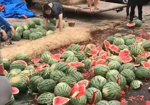 陇南网红吃瓜满床跑